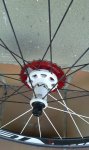 20140715_083451.jpg