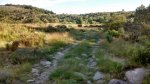 2014-07-13_08-53-13_o.jpg