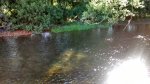 2014-07-13_10-09-31_o.jpg