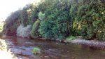 2014-07-13_10-09-52_o.jpg