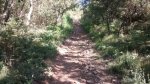 2014-07-14_10-16-03_o.jpg