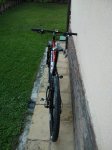 WP_000335.jpg