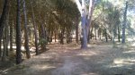 DSC_0146.JPG