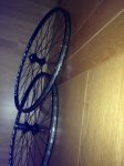 IMG_1566.JPG