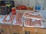 DSC06451.JPG