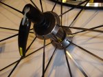 DSC05919.JPG