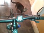 20140721_103654.jpg