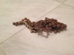 image[17].jpeg