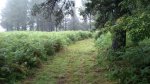 DSC_0002.jpg