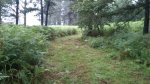 DSC_0005.jpg