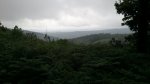 DSC_0006.jpg