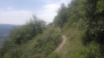 2014-07-19-1459.jpg