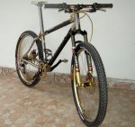 Paduano-Caino-FRM-fork.jpg