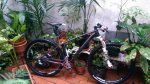 IMG-20140724-WA0002.jpg