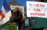tdf14st16-boar.jpg