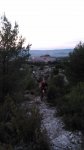 DSC_0110.jpg