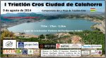CARTEL BUENO I Triatlón.jpg