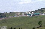 250-IMG_3729.jpg
