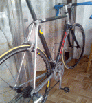 Sin tÃ­tulo-4.gif