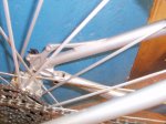 detalle fsr 010.jpg