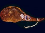 MLH016 Sierra_de_Mora_Jamon_Teruel.jpg