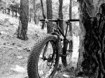 20140719_134127.jpg