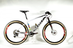 scott-scale-rc-700-2013-275-nino-schurter.png