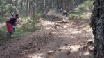 IMG-20140728-WA0040.jpg