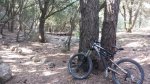20140727_110355.jpg