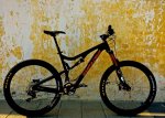 IMG_9951.jpeg