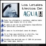 ImageUploadedByTapatalk1406639711.705899.jpg