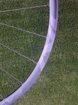 20140731_085737.jpg