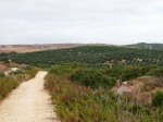 20140801_093002.jpg