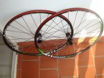 DSC05262.JPG