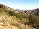 IMG_5736.JPG