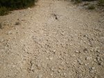 Caminos empedrados.jpg