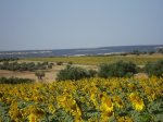 Paisaje 1.jpg