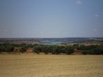 Paisaje 3.jpg