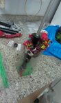 IMAG0088 (383x640).jpg