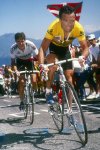 look-hinault.jpg