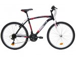 bici carreful.jpg