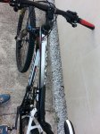 20140805_080322.jpg
