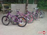 pbpic1394562.jpg
