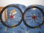 DSC06787.JPG