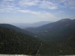 P7080011.jpg