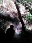 IMG_20140808_103130.jpg