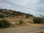 DSC_2119.JPG