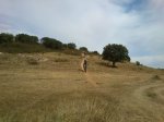 DSC_2121.JPG