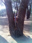 IMG_20140731_180633.jpg