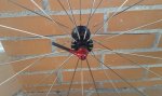 20140729_082542.jpg